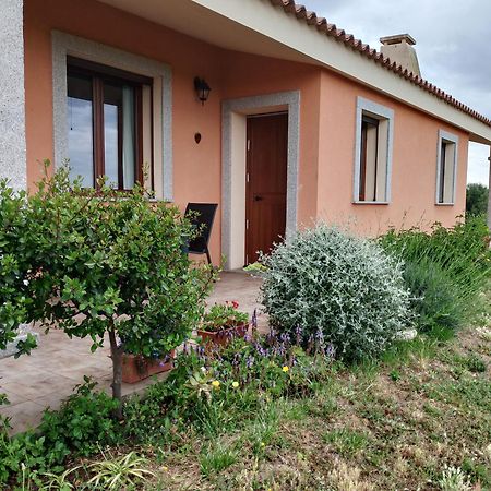 Agriturismo Gli Olivastri -Appartamento Bel Vedere Con Piscina ,Solarium E Vista Mare,Climatizzatore ,Wifi 아글리엔투 외부 사진