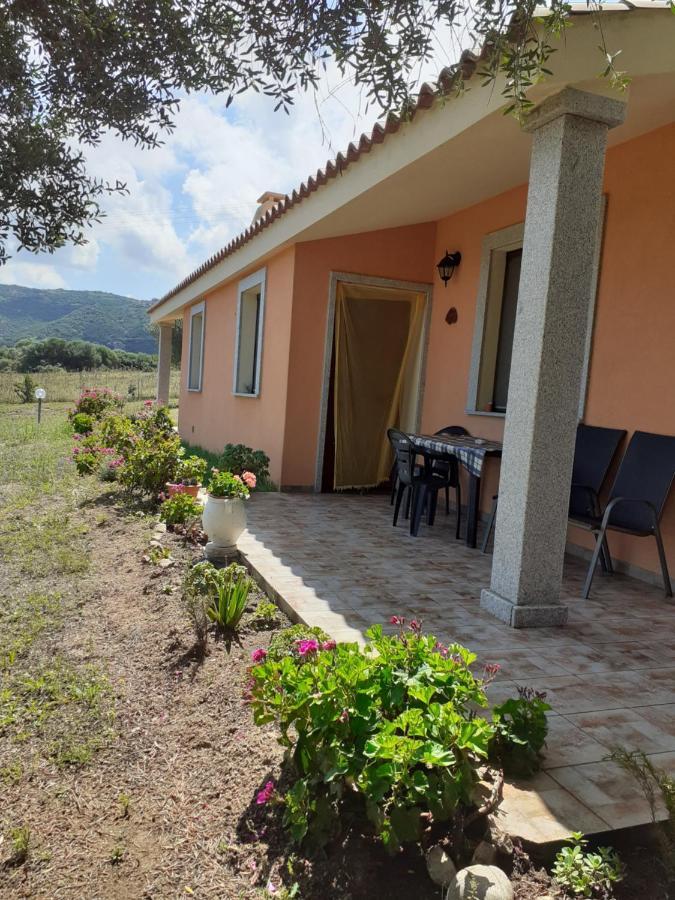 Agriturismo Gli Olivastri -Appartamento Bel Vedere Con Piscina ,Solarium E Vista Mare,Climatizzatore ,Wifi 아글리엔투 외부 사진